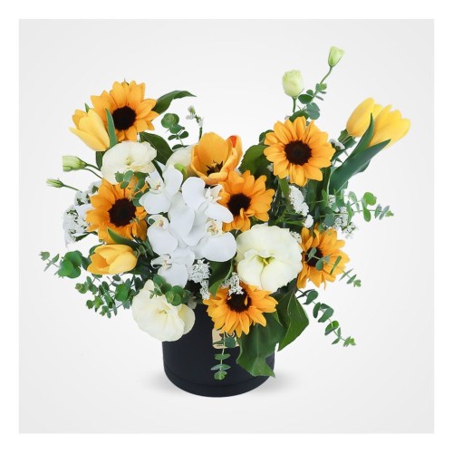 Setin Orchids Flower Box